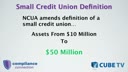 Small Credit Union Definition